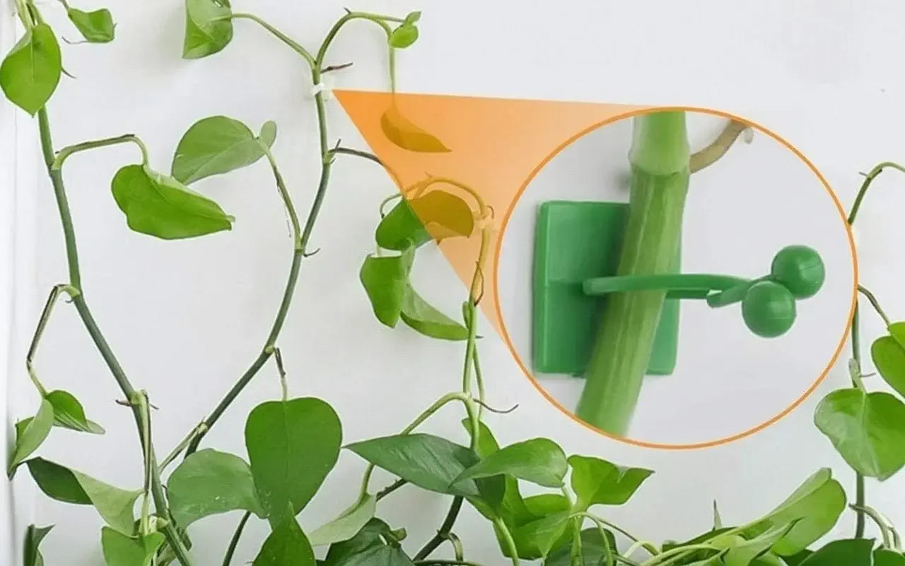 Grampo de parede para Plantas   Maravilhas do Mundo Moderno