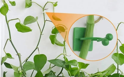 Grampo de parede para Plantas   Maravilhas do Mundo Moderno