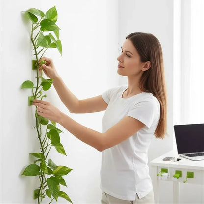 Grampo de parede para Plantas   Maravilhas do Mundo Moderno
