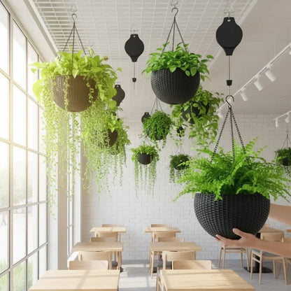 Pulley Retrátil Para Plantas   Maravilhas do Mundo Moderno