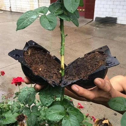 Bola de Enraizamento de Plantio Rooter