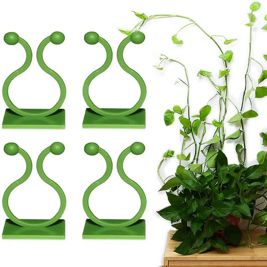 Grampo de parede para Plantas Maravilhas do Mundo Moderno